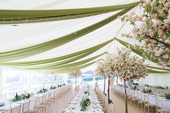 Blossom and Apple Green