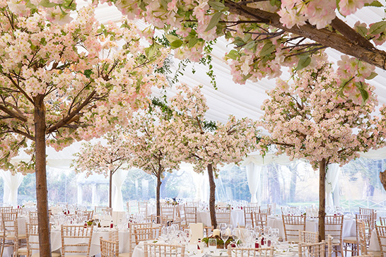 Cherry Blossom Wedding